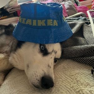 Ikea bucket hat!